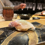 Sushi Shizuku - 