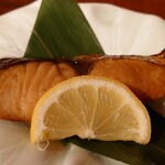 Segodon - 