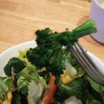 ボーノ - 菜の花  春 ですねぇ(^_^)