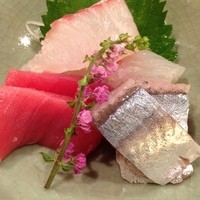 お料理なかき - 真鯛　鮪中トロ　新秋刀魚
