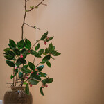 紀尾井町 藍泉 - 