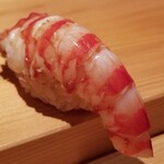 鮨 さかい - (19)車海老(熊本県天草産、養殖)
      産卵期は初夏～初秋、旬は初夏～初秋
      冬はサイズが揃わず養殖
      茹でたての温かい車海老はぷりぷり、温かなシャリがググッと沈み込みます
      華やかな甘みと旨味が押し寄せます