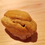 鮨 さかい - (22)北紫雲丹(北海道上ノ国産)
      大きな北紫雲丹がタップリ。贅沢です！
      握っているのに、雲丹の粒が潰れていません！
      シャリのほどけを楽しみ、北紫雲丹の品のある甘みが口に拡がります。