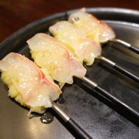 セルサルサーレ - 