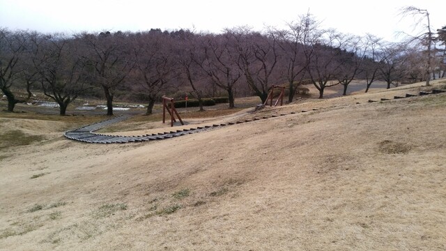 幻の味噌を使用した味噌ラーメン By 麺処よしお 自然休養村太陽の村 船岡 ラーメン 食べログ