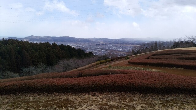 幻の味噌を使用した味噌ラーメン By 麺処よしお 自然休養村太陽の村 船岡 ラーメン 食べログ