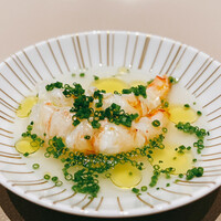 スガラボヴィー - 