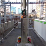 一〇そば - お花も綺麗