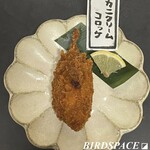 串焼・串揚げ バードスペース  東岡崎北口 - 