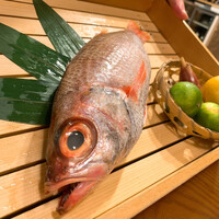 のどぐろ専門 銀座 中俣 - 