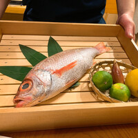 のどぐろ専門 銀座 中俣 - 