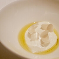 カンテサンス - 