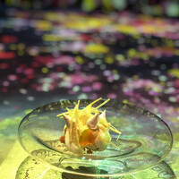 佐賀牛 Sagaya 銀座 - 