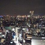 ホテルグレイスリー新宿 - 新宿夜景２