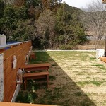Momo cafe - 大型のワンちゃんもオッケーの広いお庭