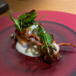 エル・バウ・デコラシオン - この美しさにしばし見とれる(ღ*ˇᴗˇ*)｡o♡ｳｯﾄﾘ♡