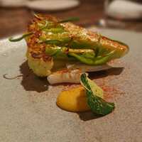 aru - ゆきのこ　あおりいか