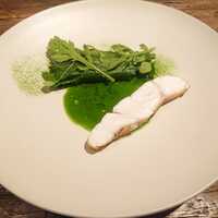 aru - チーマディラーパ　平鱸