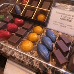 アヴランシュ・ゲネー - ショコラ