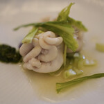 ペレグリーノ - 