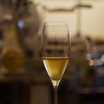 ペレグリーノ - 