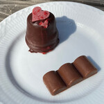 サマーバード オーガニック - 