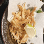 せかんどはうす - 