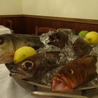 Ristorante IL FIGO INGORDO - プレゼンテーション