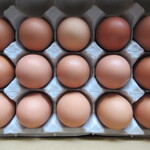 上平養鶏場 - 色の個体差はあれど綺麗な卵たち