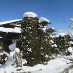 いろは食堂 - 雪が積もってます