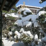 いろは食堂 - 兼六園っぽいです