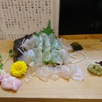 風鈴坊 - 2012カワハギ