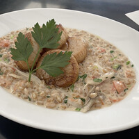 CICADA - うますぎるホタテ