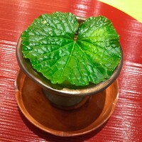 五本木 響 - 