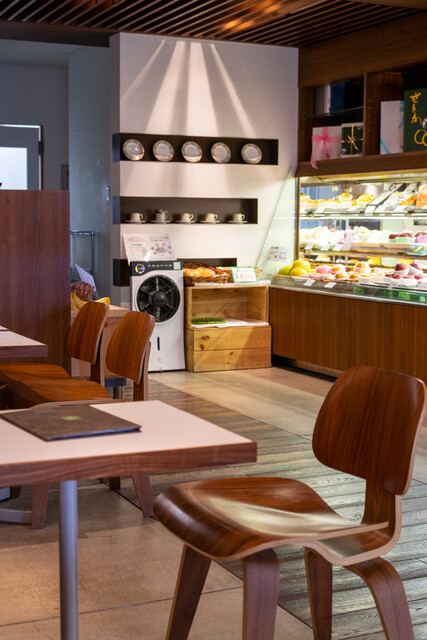 HOSOKAWA Shimogamohon Ten photo 4