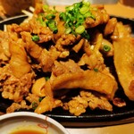 Yayoi Ken - メガスタミナ肉盛定食（肉２倍）