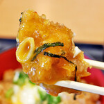 Nagoya Udon - 