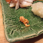 法善寺横丁 誠太郎 - シラサエビの赤ちゃん