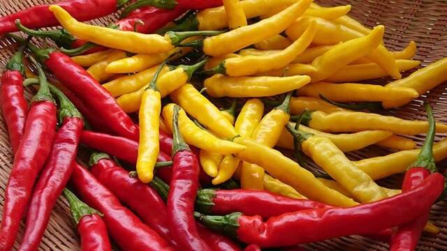 まごころ食堂 - 萩生（洋食）の写真