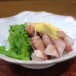 桶家乃隠居 - ウドとホタルイカ