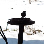 くつきそば 永昌庵 - 