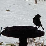 くつきそば 永昌庵 - 