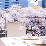 リストランテ インクローチ - 桜のシーズン