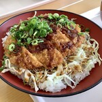 壇之浦パーキングエリアレストラン - ボリューム満点！ソースかつ丼 820円