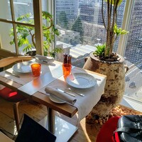 Benoit Alain Ducasse - 