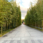 フォーシーズンズホテル京都 - 