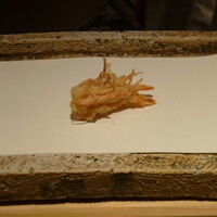 日本橋 蕎ノ字 - 