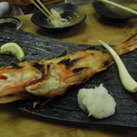 東鮨 新店 - キンキ塩焼き
