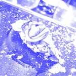 スシコーヒー - 煮蛤