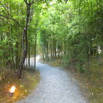 月のうさぎ - 部屋までの小径